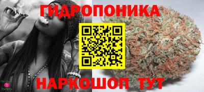 герыч Гатчина
